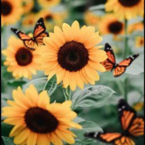 Meet your Posher, Jada